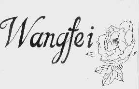 WANGFEI