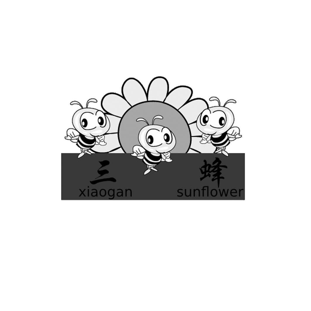 三蜂 XIAOGAN SUNFLOWER
