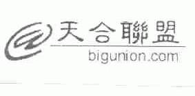 天合联盟;BIGUNION