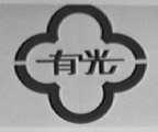 有光