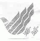 华蒂