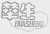 华生