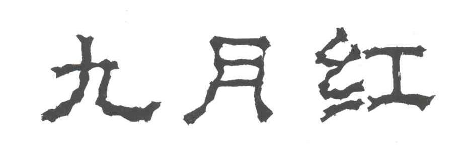 九月红