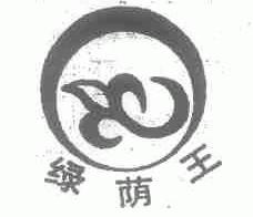 绿荫王