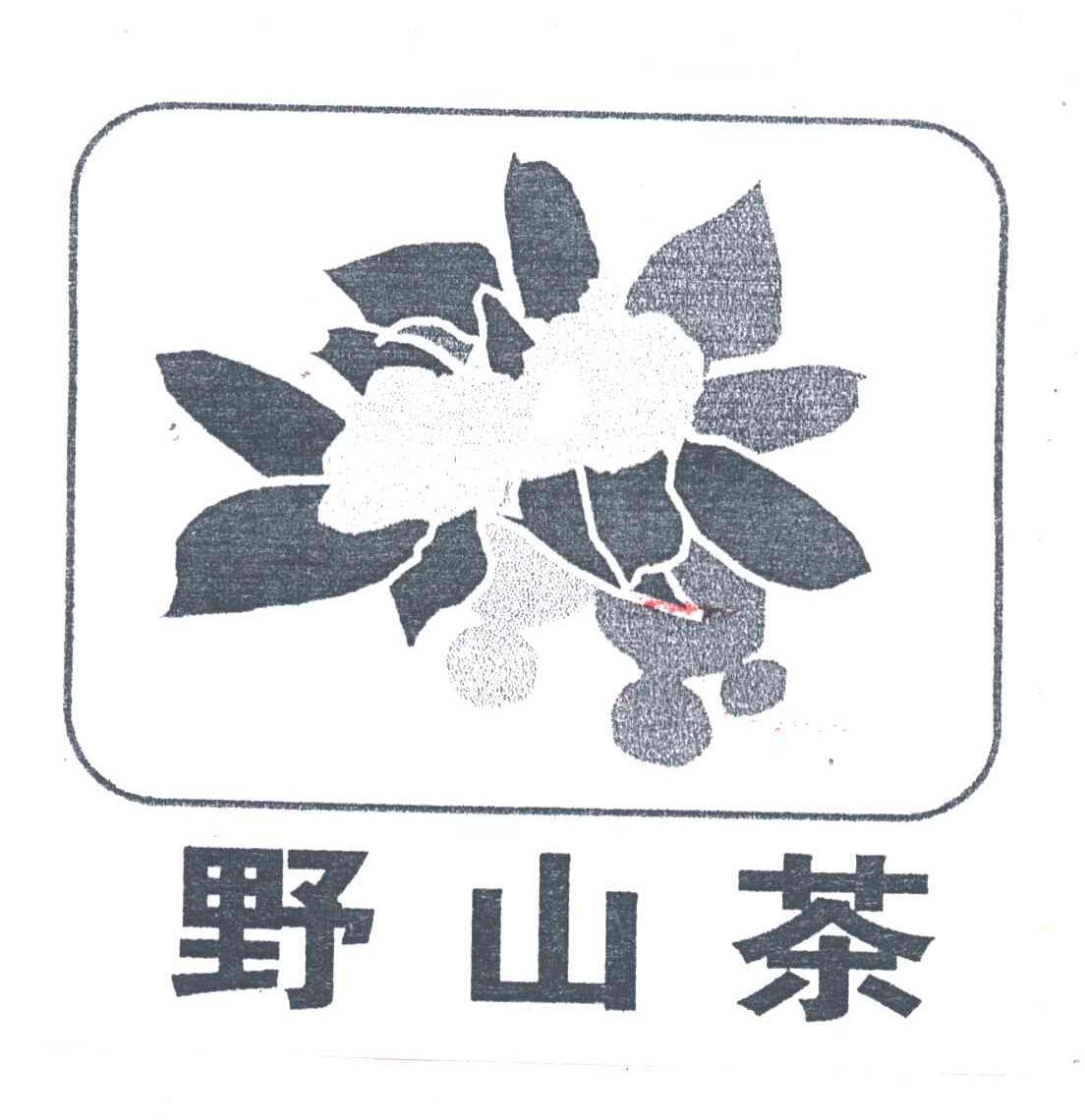野山茶