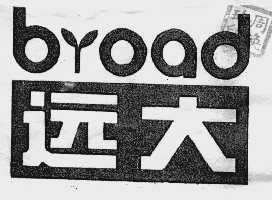 远大;BROAD
