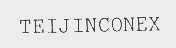 TEIJINCONEX