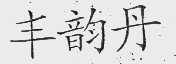 丰韵丹