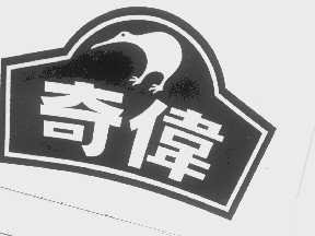 奇伟