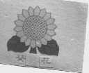 葵花