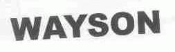 WAYSON