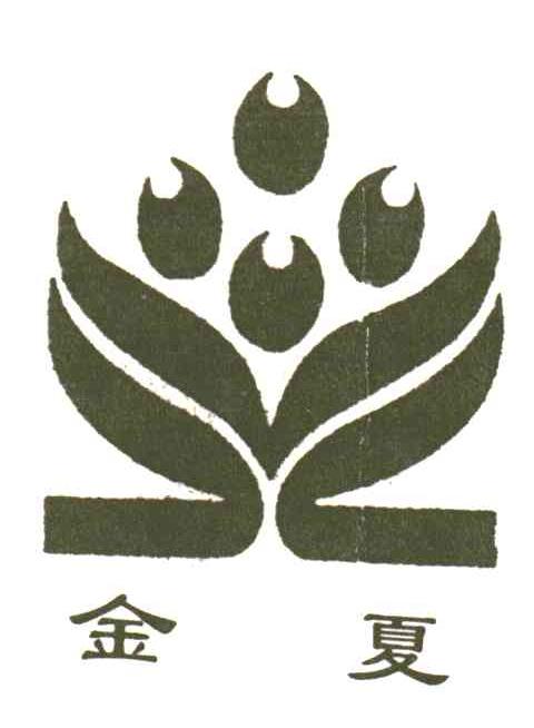 金夏