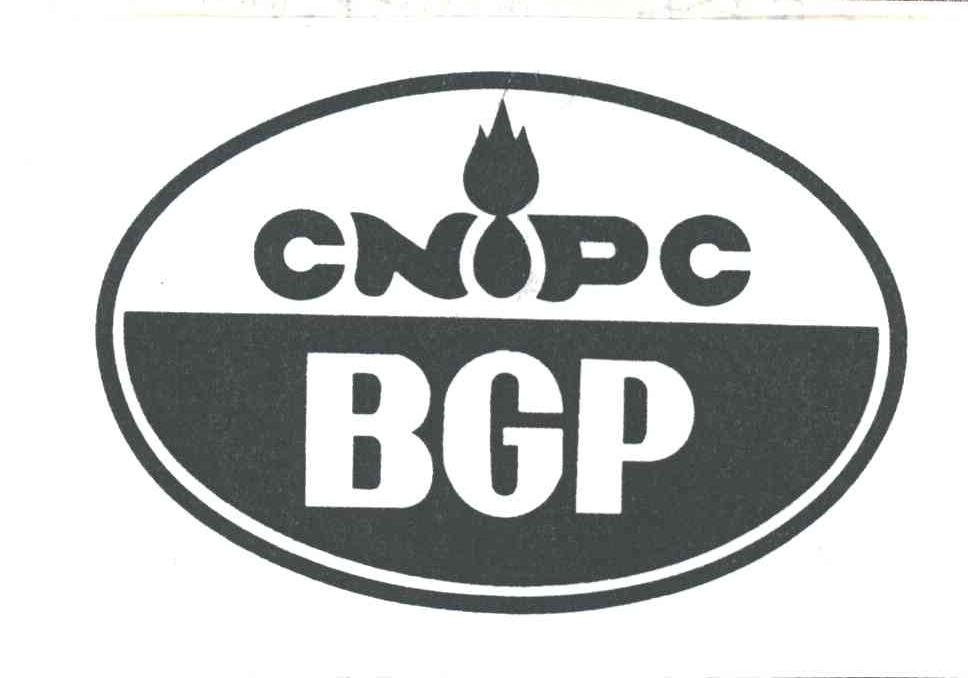 CNIPC BGP