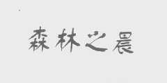 森林之晨
