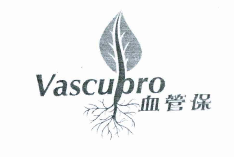 血管保 VASCUPRO