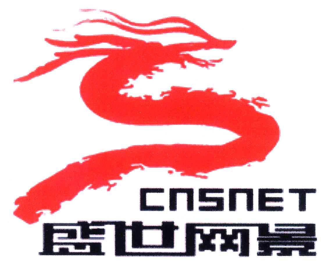 盛世网景;CNSNET