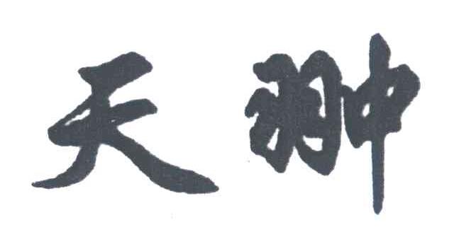 天翀