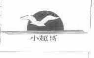 小超哥