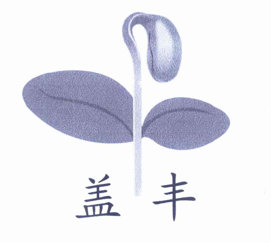 盖丰