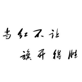 当红不让 旗开得胜