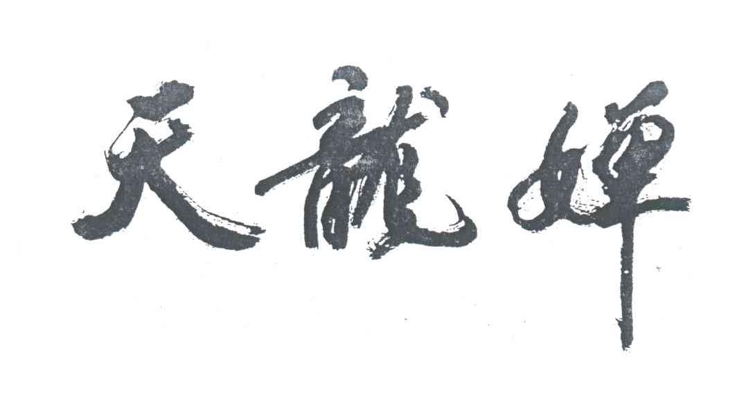 天龙婵