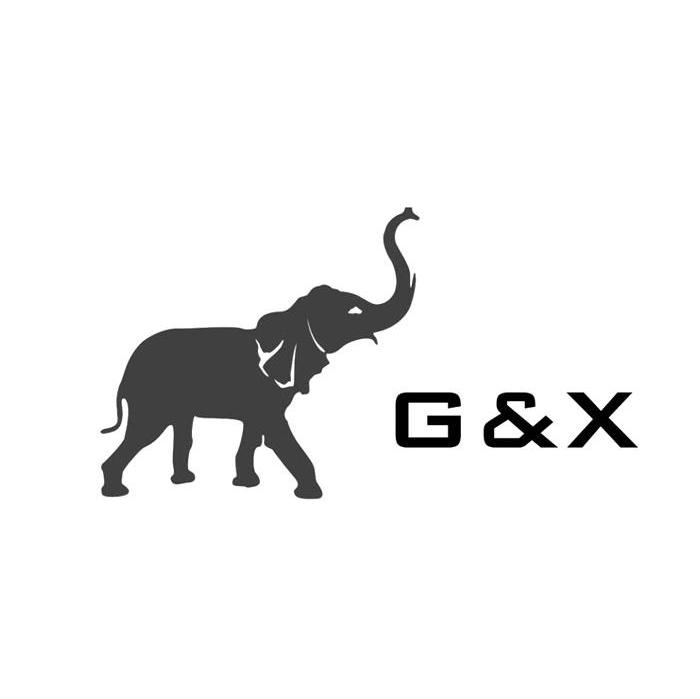 G&X
