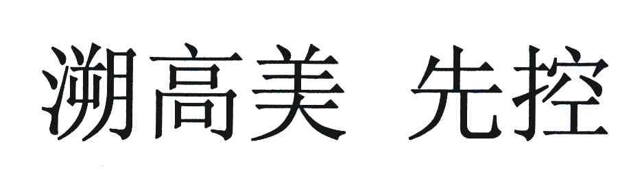 溯高美先控