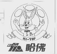 哈佛   HI-TOP