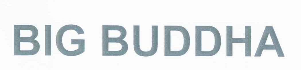 BIG BUDDHA