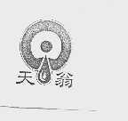天翁