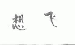 想飞