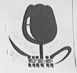 郁金香