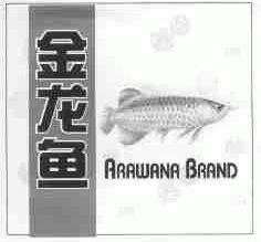 金龙鱼;ARAWANA