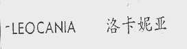 洛卡妮亚   LEOCANIA