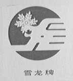 雪龙