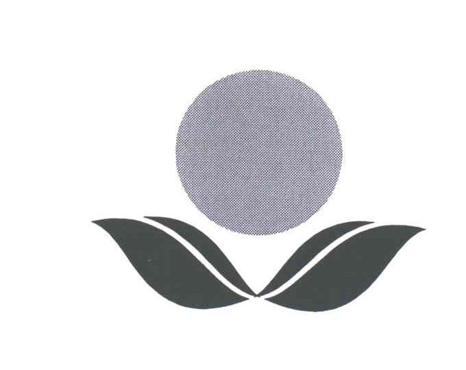 图形