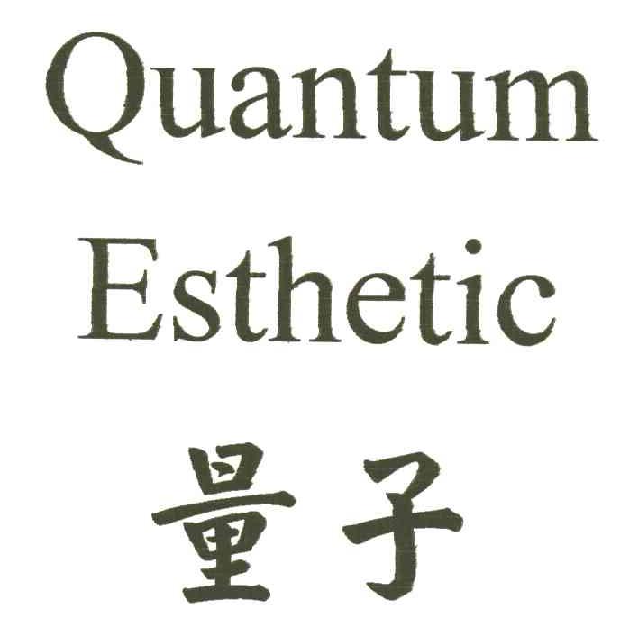 量子;QUANTUM ESTHETIC