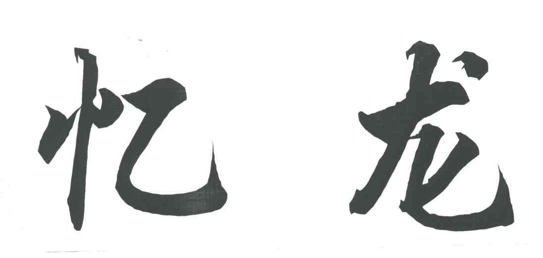 忆龙