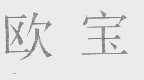欧宝