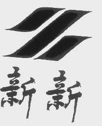 新新