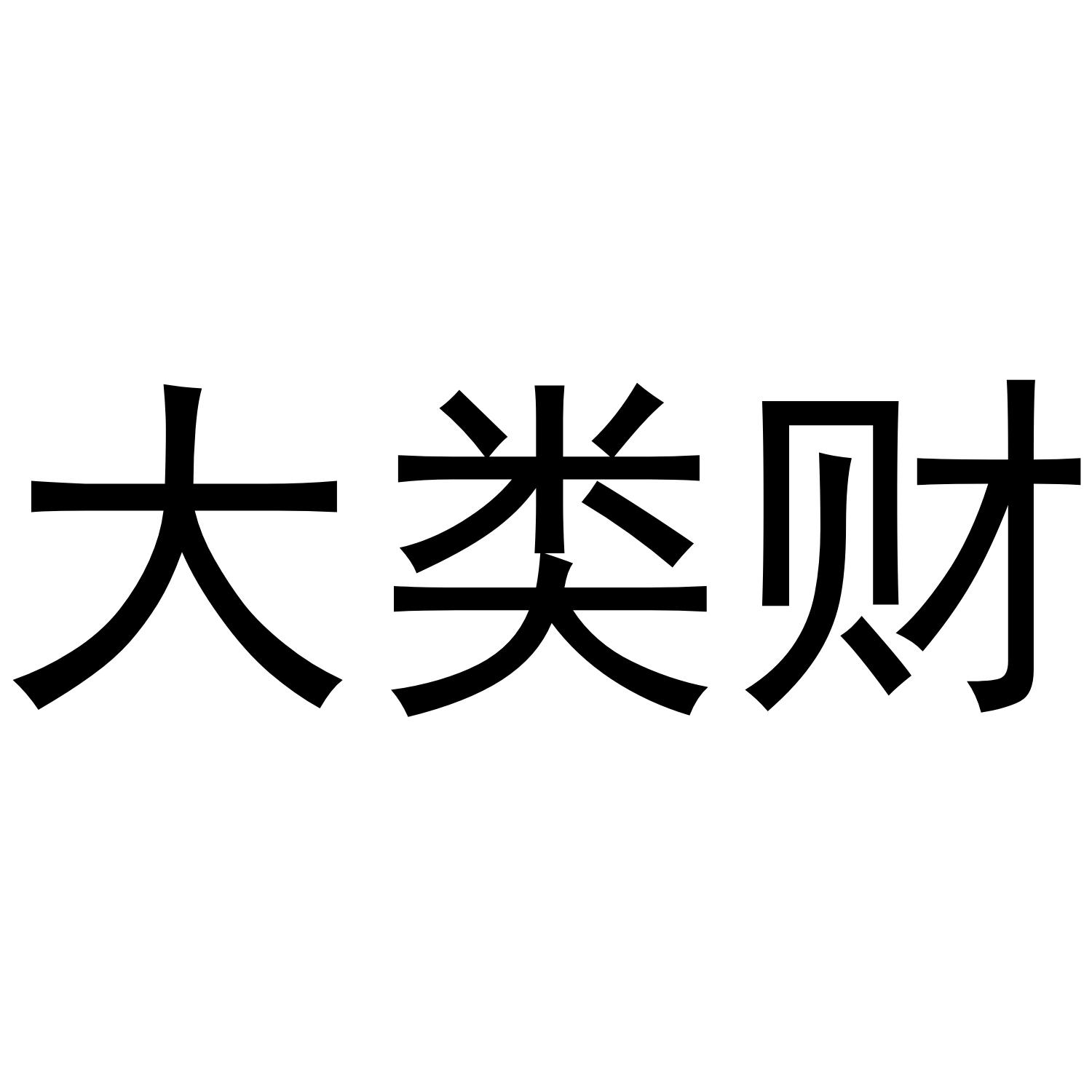 大类财