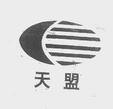 天盟