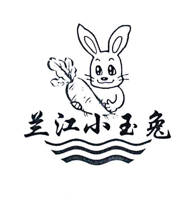 兰江小玉兔