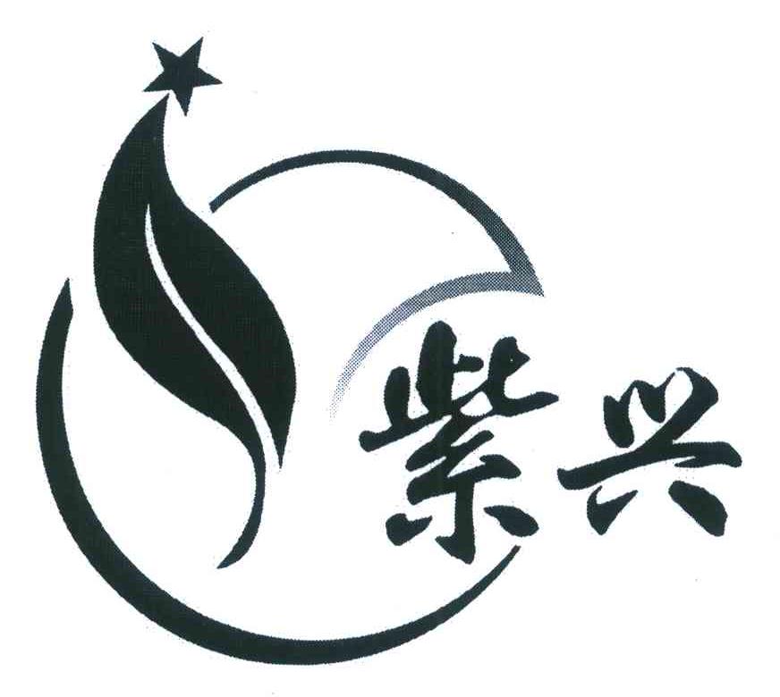 紫兴