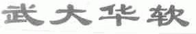 武大华软