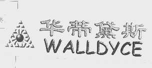 华蒂黛斯   WALLDYCE