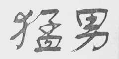 猛男
