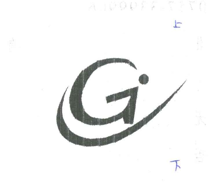 LG;G
