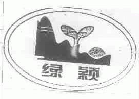 绿颖