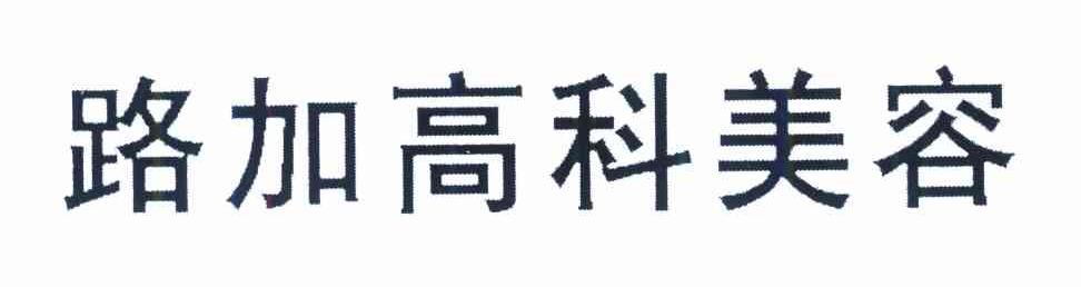 路加高科美容